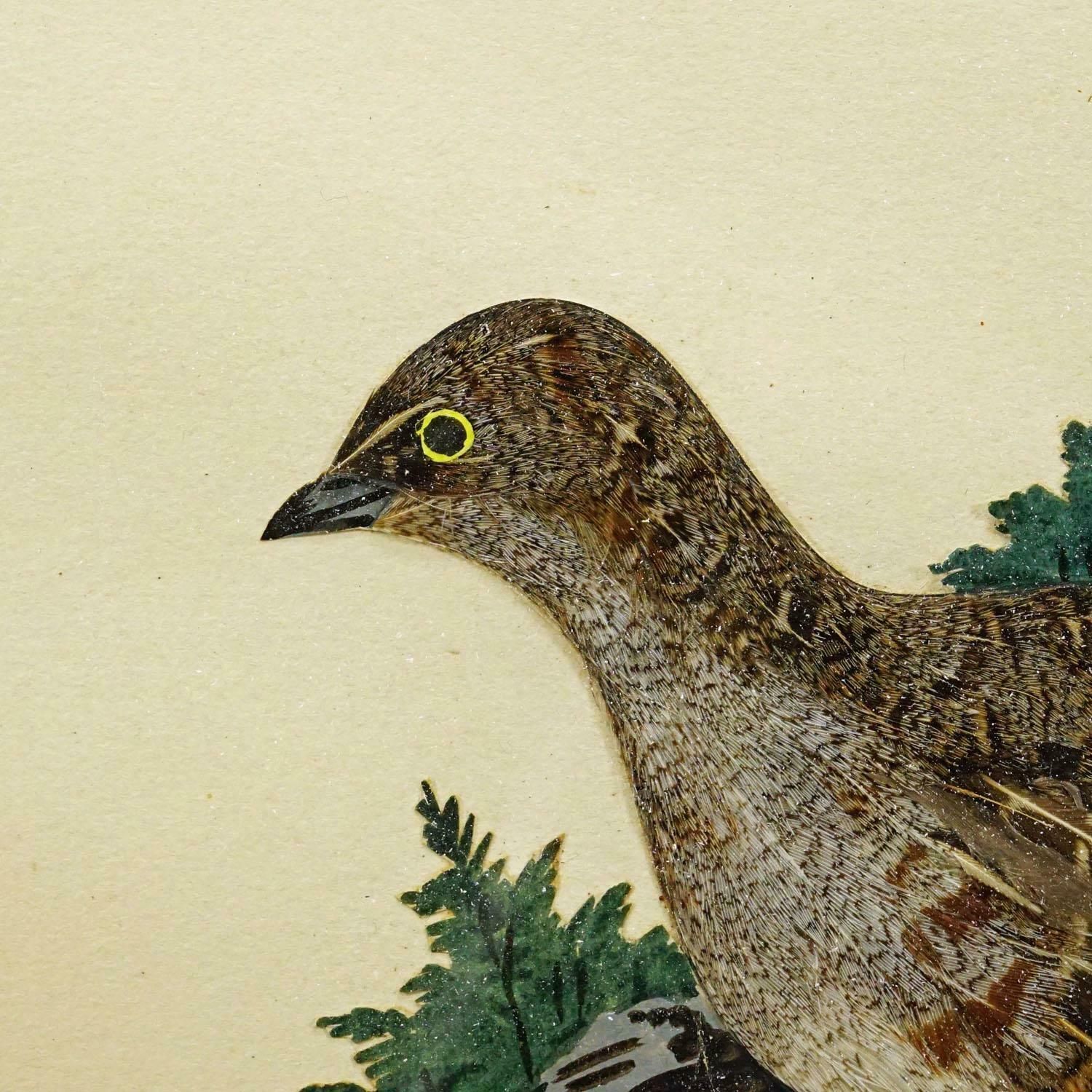 Victorian Taxidermy Diorama With Partridge, Germany Ca. 1900 photo 303.0