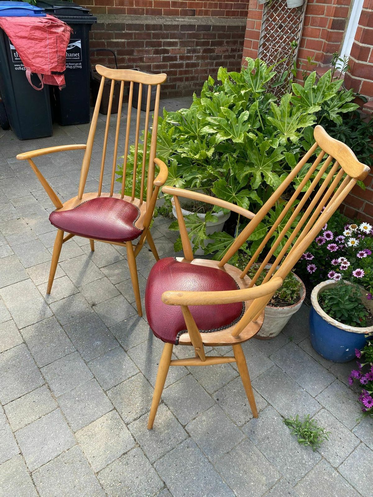 Vintage Moustache Chairs By L. Ercolani For Ercol, 1960, Pair Of Two Blue Label, Studded Cushion Based. photo vinterior