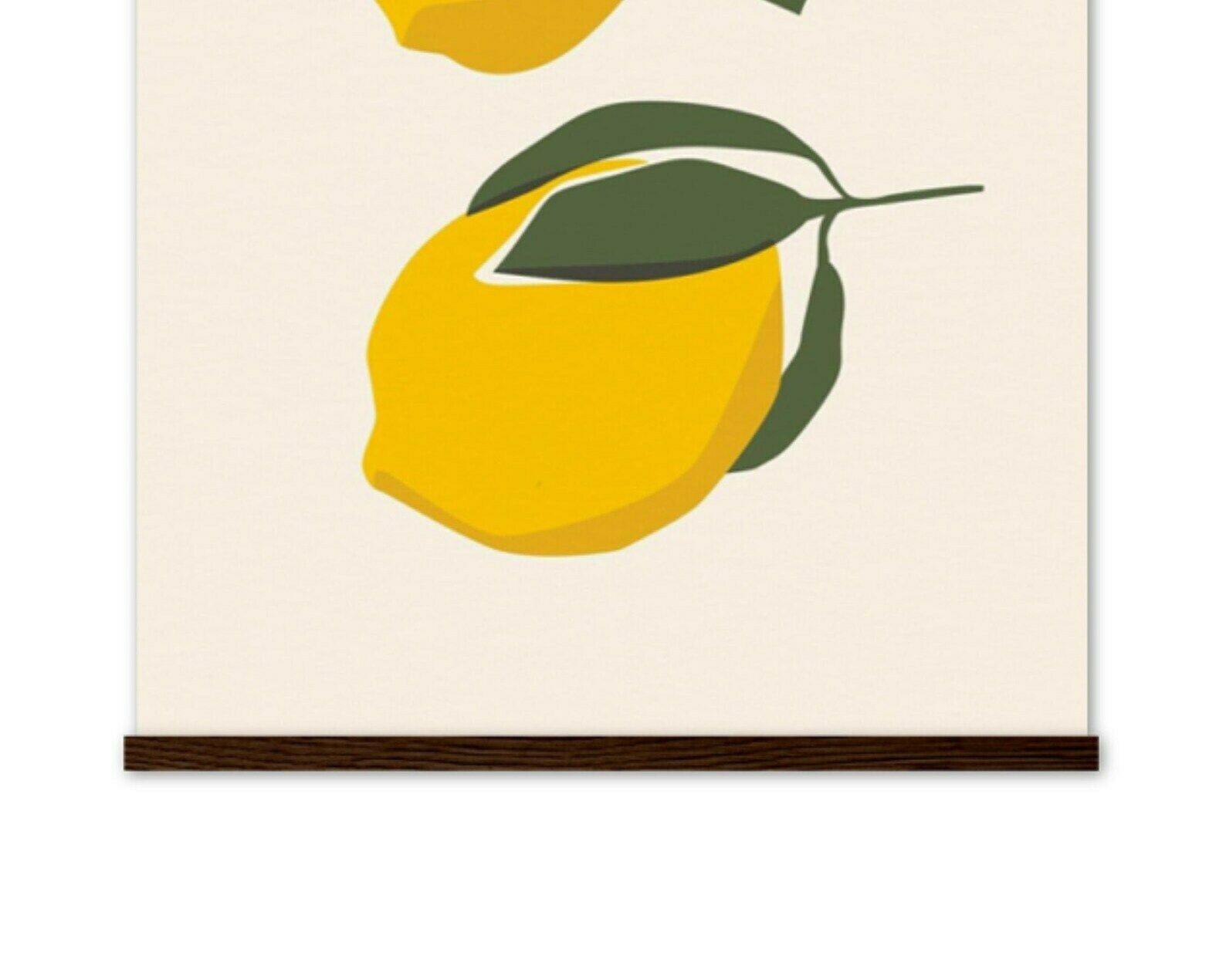 Vintage Lemon Poster With Magnet Hangers | Vintage Mid Century Style Poster With Lemons photo for sale