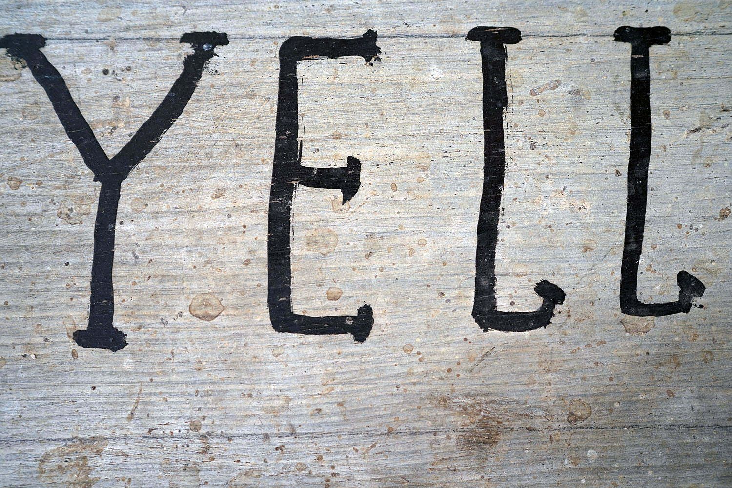 A Group Of Four Early 20thc Painted Pine American Stable Signs photo vinterior
