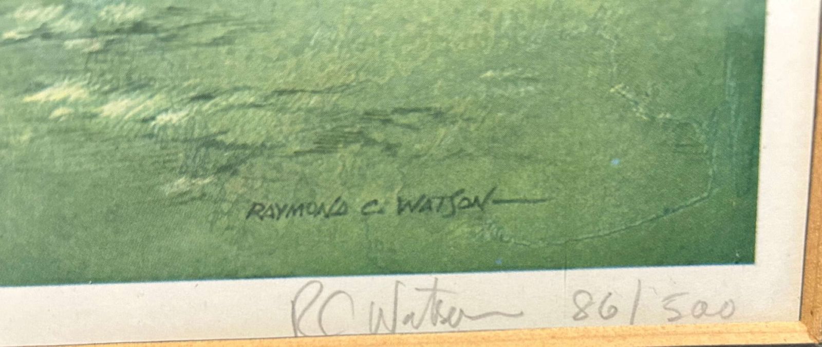 Raymond Watson Pair Of Signed Limited Edition Bird Prints photo 325.0