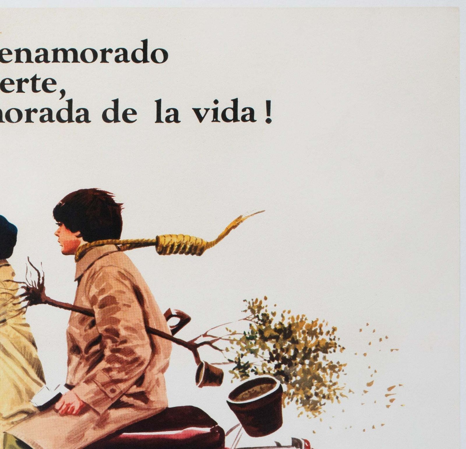 Harold And Maude 1972 Argentinian 1 Sheet Film Poster photo Art