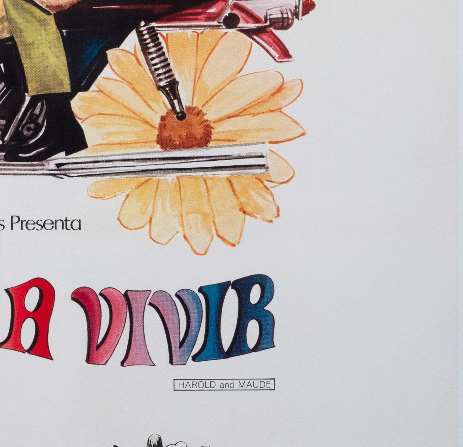 Harold And Maude 1972 Argentinian 1 Sheet Film Poster photo vinterior