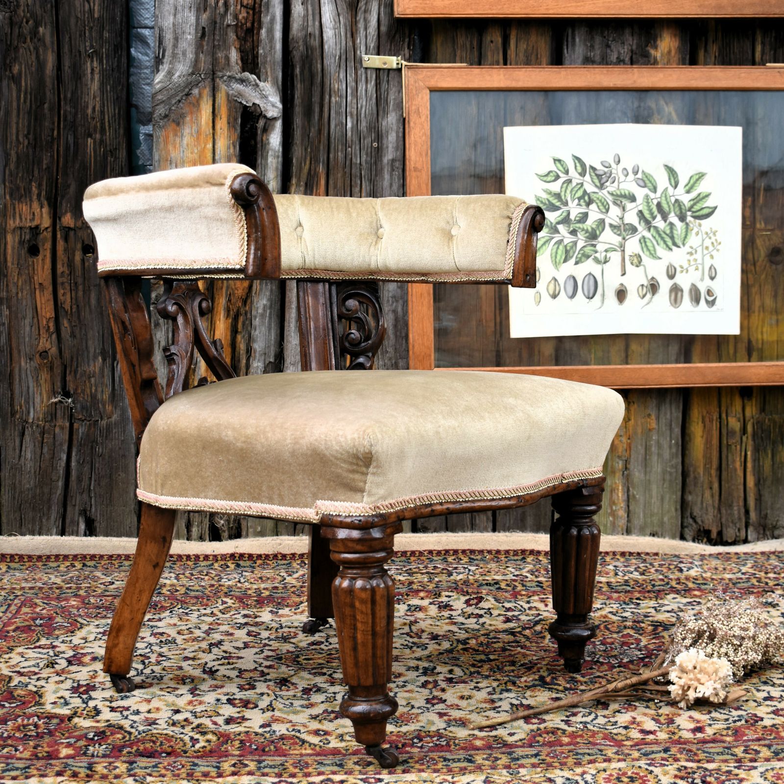 Antique Victorian Mahogany Cockfighting Horseshoe Library Statement Arm Chair