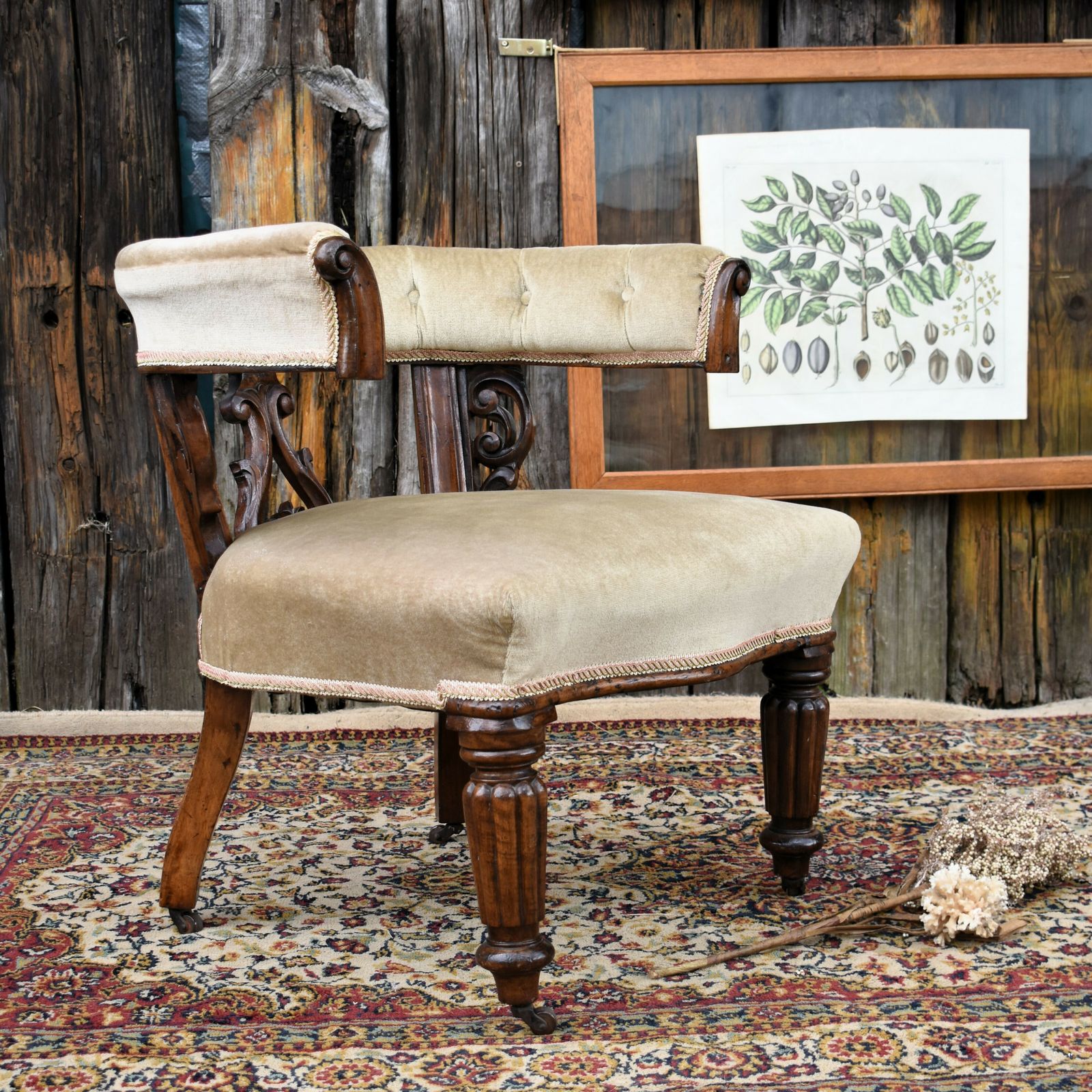Furniture Antique Victorian Mahogany Cockfighting Horseshoe Library Statement Arm Chair photo
