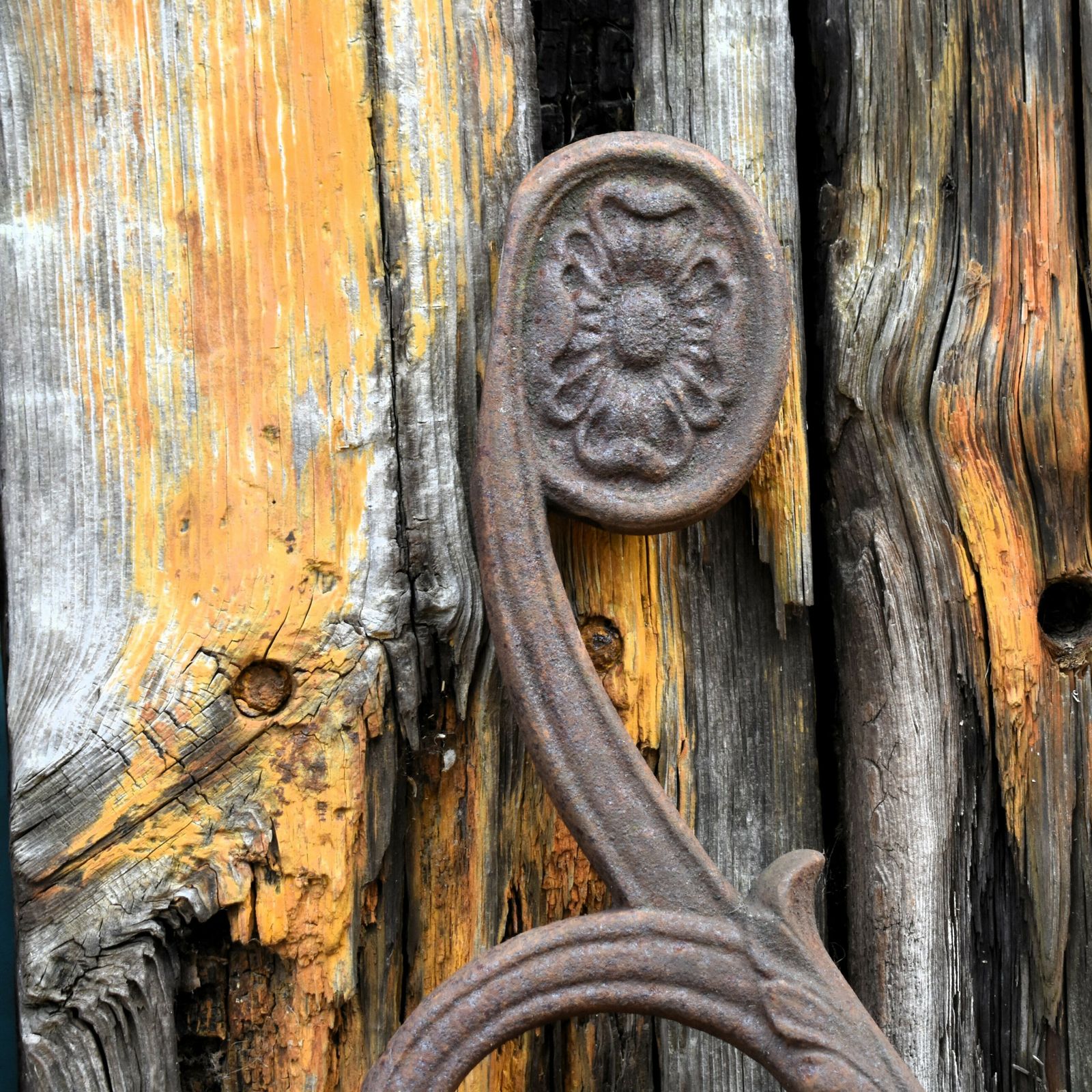 Antique Salvage Cast Iron Scroll Architectural Tudor Rose Garden Railing Finial photo Garden Decor