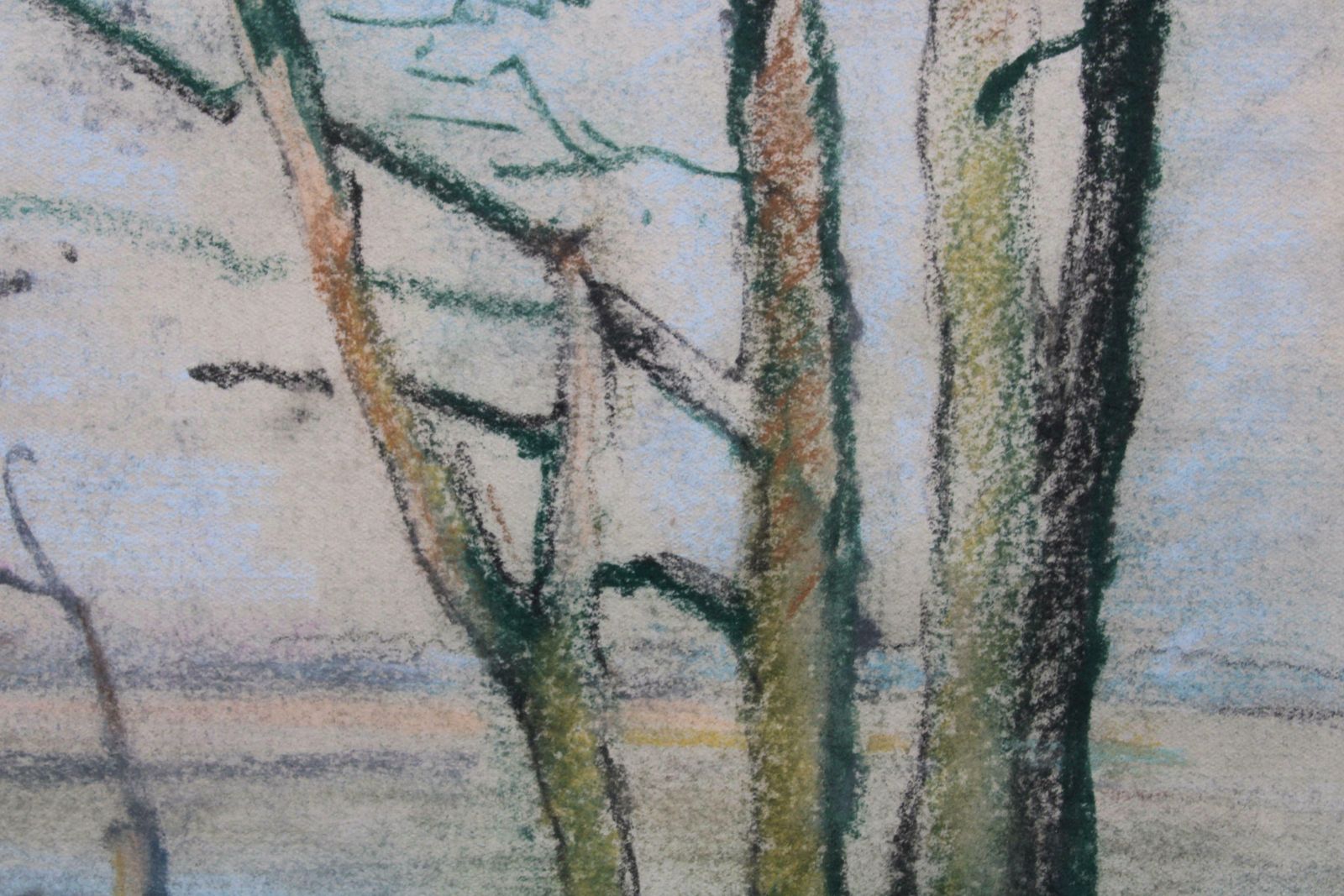 Aleksandra Belcova Flooded River 1950s. Paper, Pastel. 26.5x35.5 Cm Circa 1950 photo 838.0
