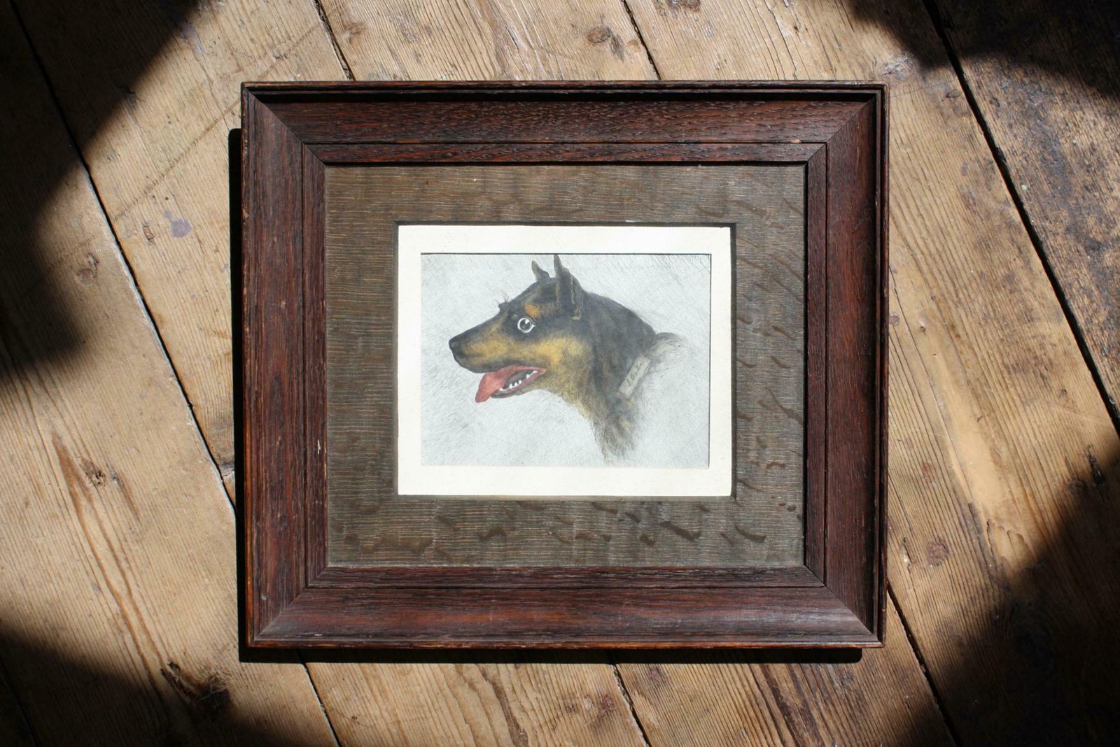 Early 20th Century Folk Art Pencil On Paper Odd Dog Job Oak Frame Rottweiler photo for sale