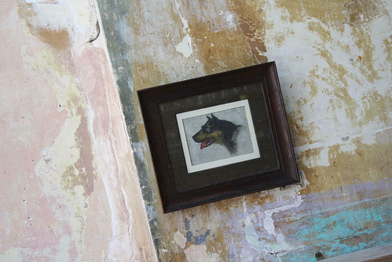 Early 20th Century Folk Art Pencil On Paper Odd Dog Job Oak Frame Rottweiler photo vinterior