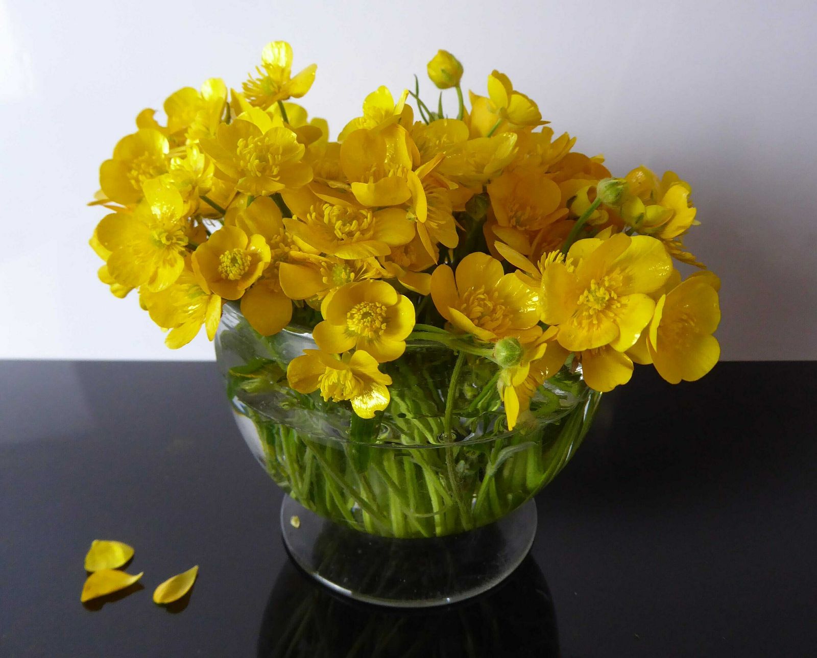 Antique Glass Posy Vase | Blown Glass Compote Bowl | Vintage Finger Bowl | Collectible Glassware