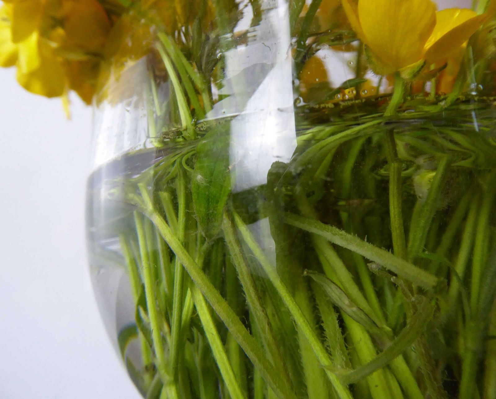 Antique Glass Posy Vase | Blown Glass Compote Bowl | Vintage Finger Bowl | Collectible Glassware photo buy