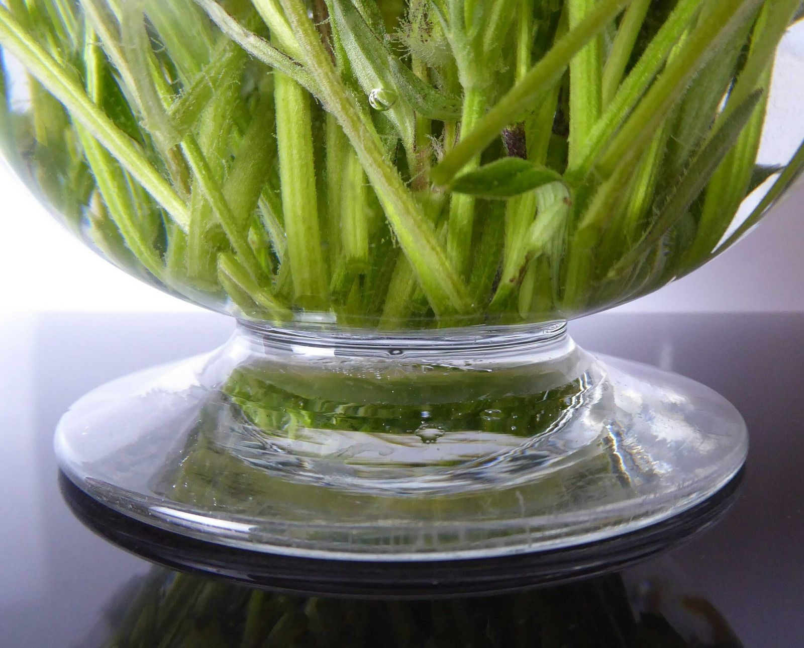 Antique Glass Posy Vase | Blown Glass Compote Bowl | Vintage Finger Bowl | Collectible Glassware photo vintage