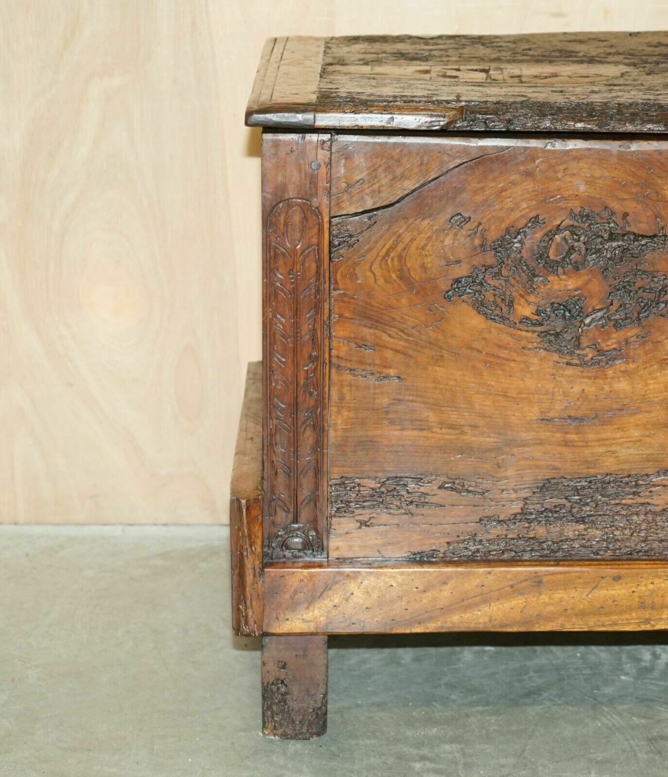 Antique 18th Century Six Plank Heavily Burred Chestnut Wood Trunk Chest photo Furniture