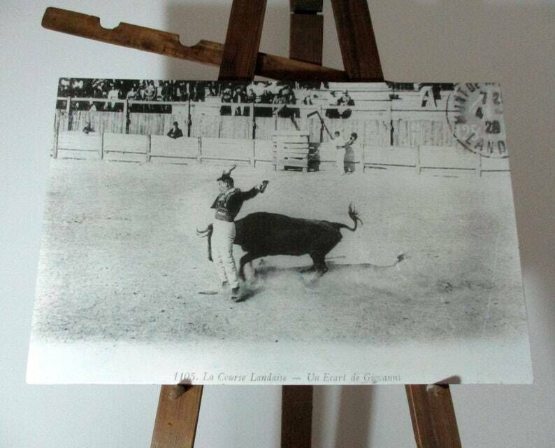 Antique Photographs French Bullfighting Photographs   Course Landaise   French Culture   Bull Fighting Poster   Large Mounted Photos photo for sale