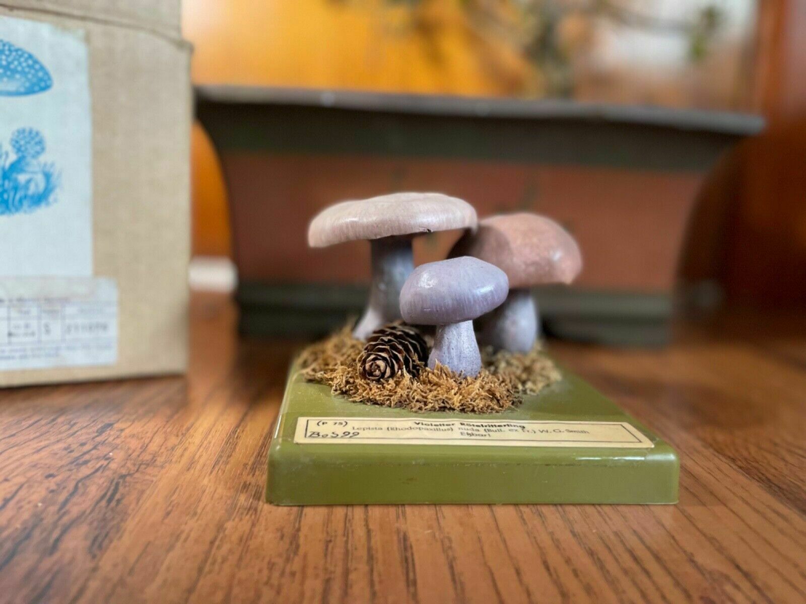 Vintage Somso Panther Cap Mushroom Educational School Model Fungus Amanita