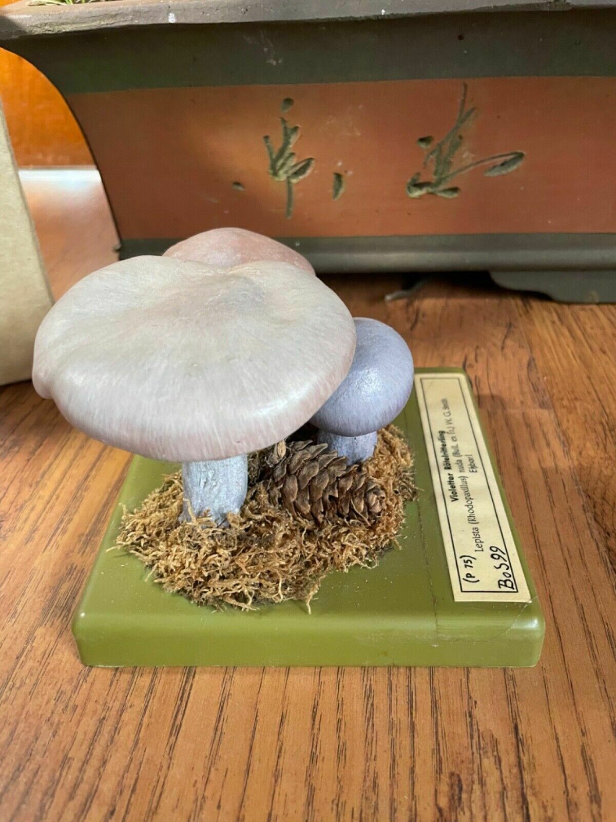 Vintage Somso Panther Cap Mushroom Educational School Model Fungus Amanita photo vinterior