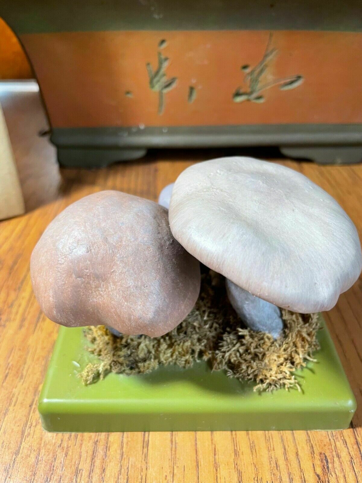 171.0 Vintage Somso Panther Cap Mushroom Educational School Model Fungus Amanita photo