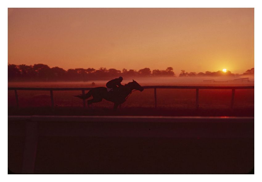 Morning Training At Saratago By Toni Frissell Archival Pigment Print Framed In Black photo furniture