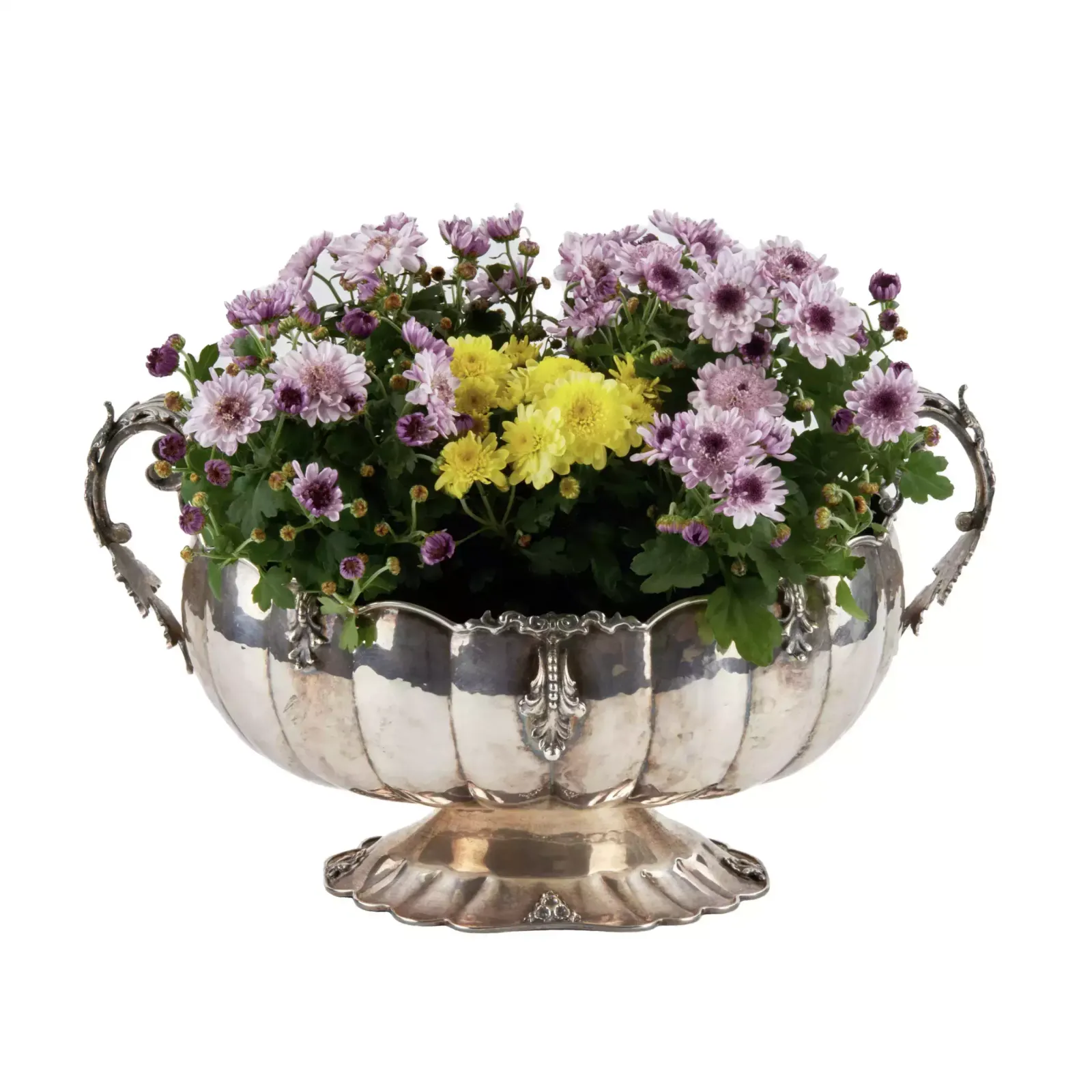 Silver Vase For Flowers Or Fruits. Gianni Bolletino. Gioletti. photo furniture