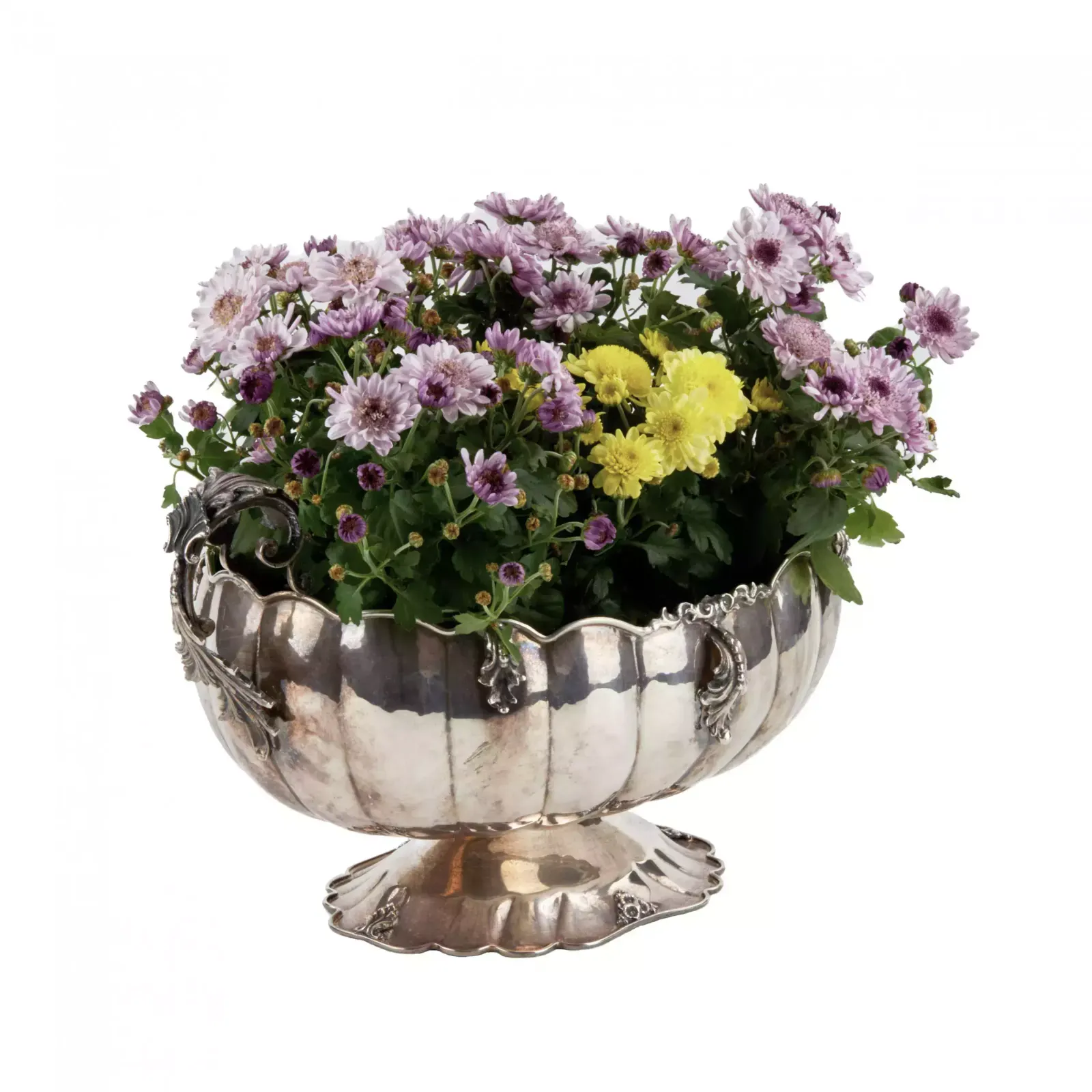 Silver Vase For Flowers Or Fruits. Gianni Bolletino. Gioletti. photo buy