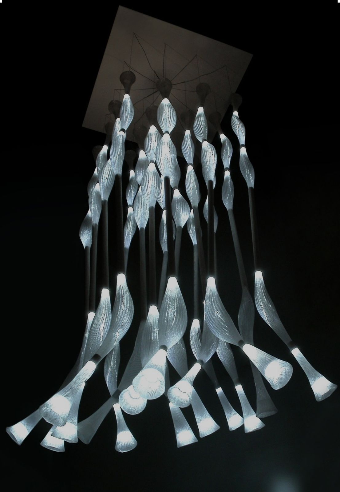 Swann Bourotte For Ligne Roset Jellyfish Chandelier Showpiece photo furniture