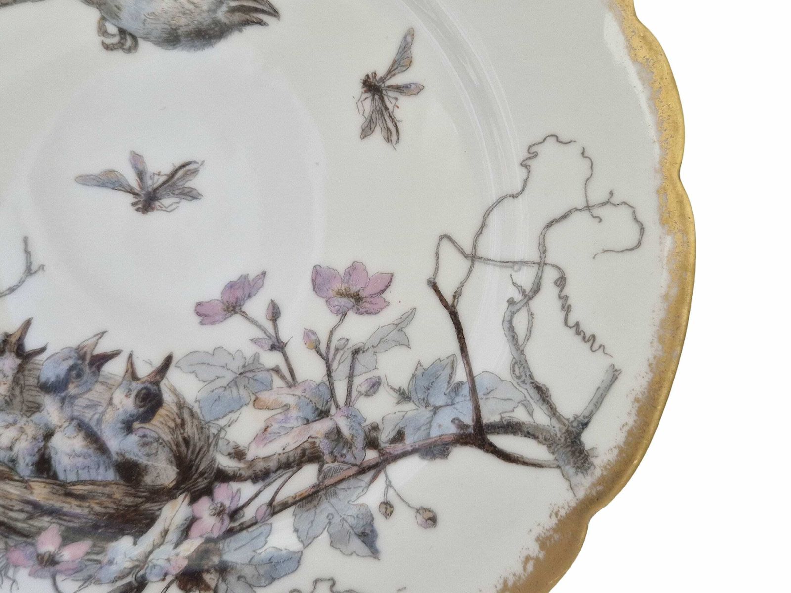 Limoges Porcelain Wall Plate With Hand Painted Birds And Insects By Adolphe Hache & Cie, French Cabinet Plate photo vintage