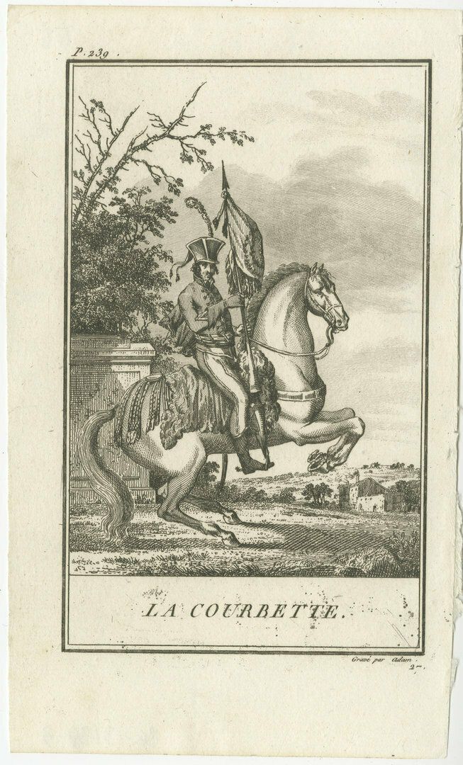 Set Of 5 Antique Horse Riding Prints, Le Piaffer, La Galopade, La Courbette photo for sale