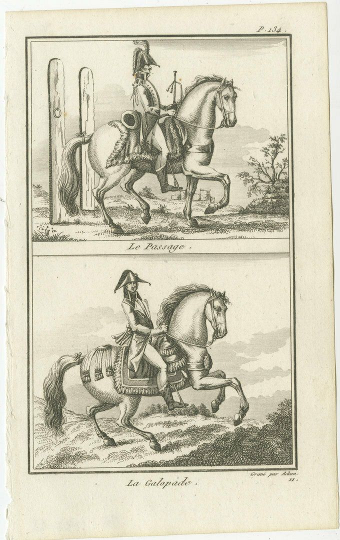 Set Of 6 Antique Horse Riding Prints, Capriole, Croupade, Le Trot, Courbette photo buy