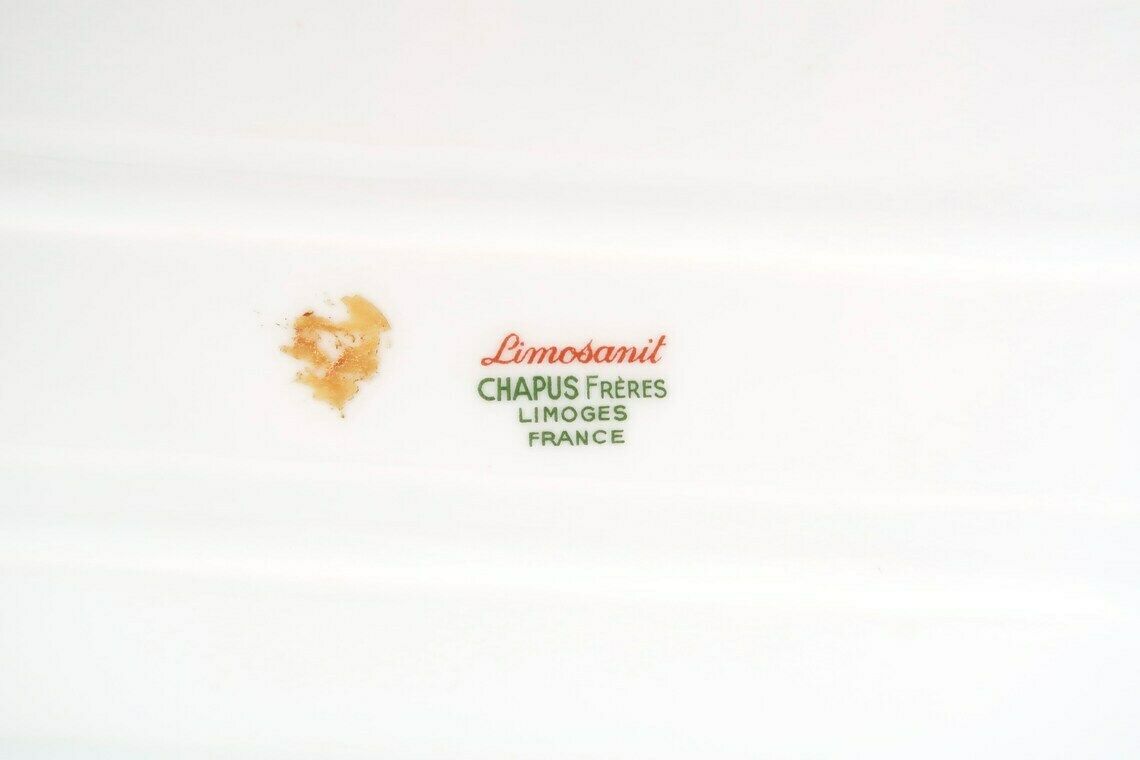 French Chapus Frères Limoges Porcelain Wall Tissues Dispenser, Floral Decor, 1960s / Box, Limosanit, Bathroom, White, Pink photo vinterior