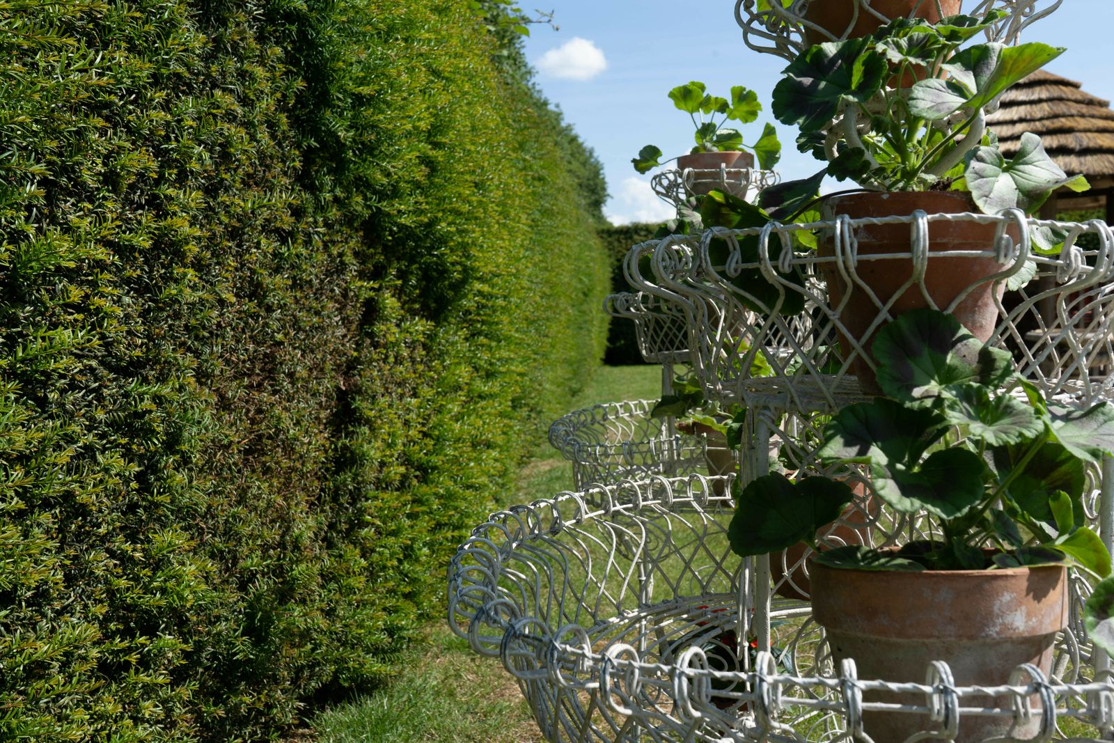A Pair Of Victorian Wirework Garden Planters photo Garden Decor