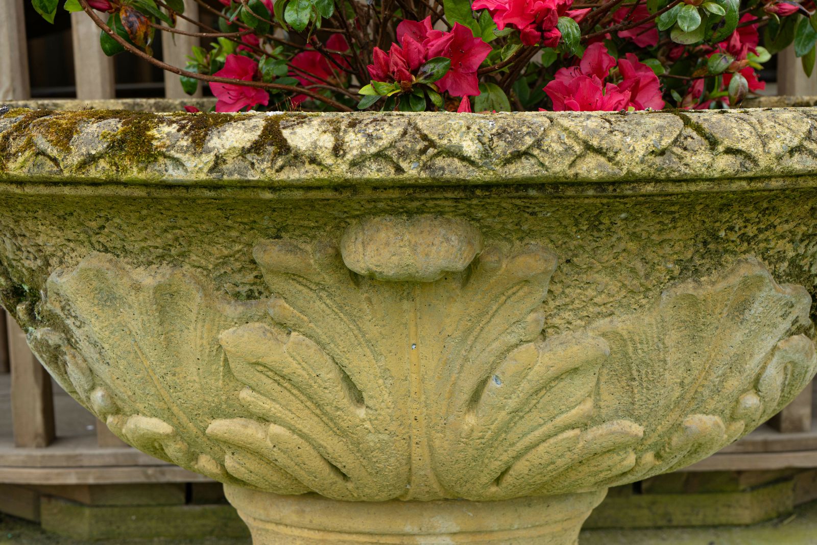Large Oval Ornate Garden Urn photo 670.0