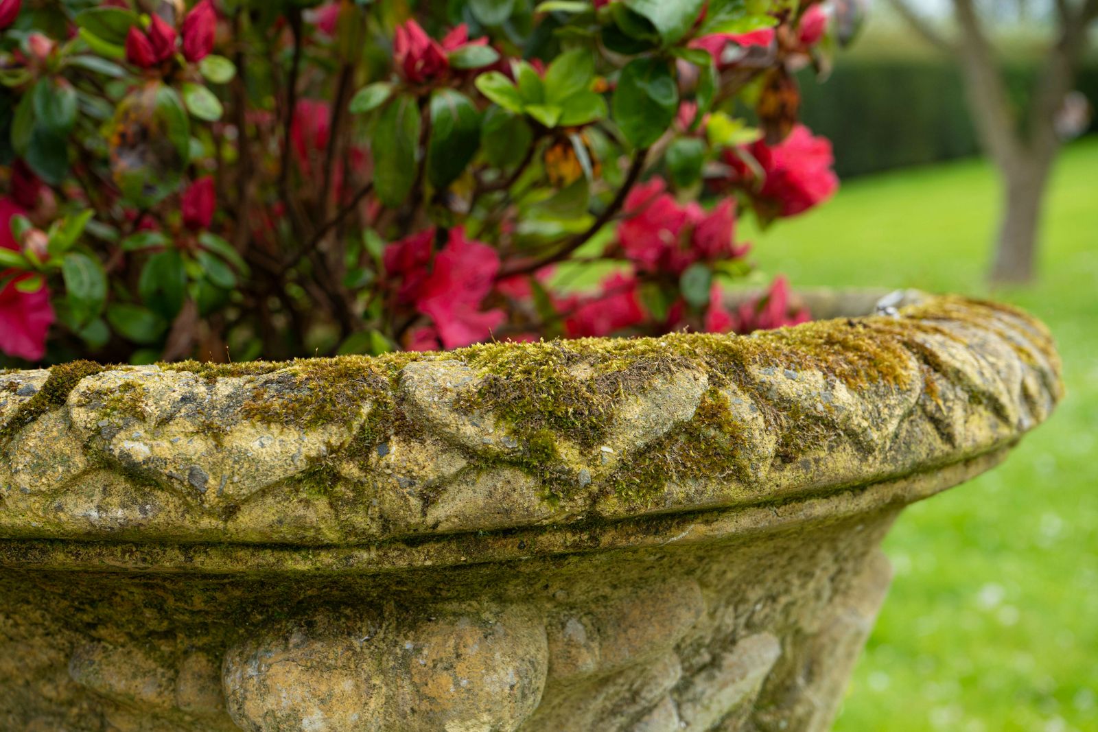 Large Oval Ornate Garden Urn photo vinterior