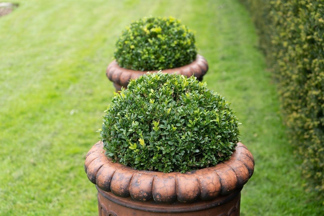 Pair Of Antique Terracotta Urns On Plinths photo Garden Decor