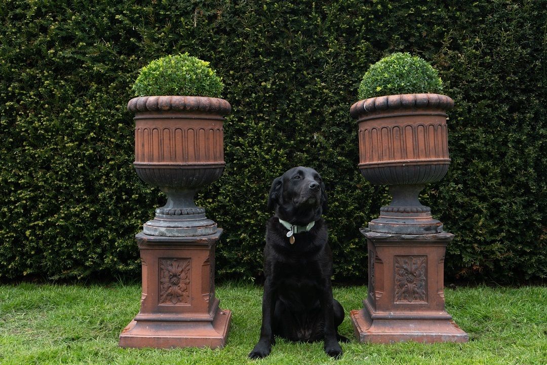 Pair Of Antique Terracotta Urns On Plinths photo buy