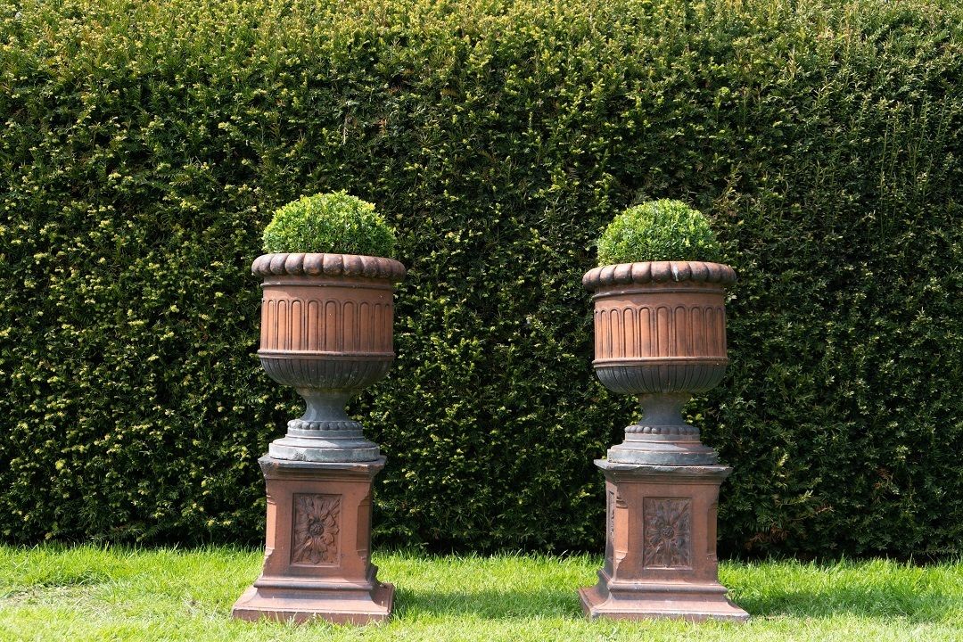 1800.0 Pair Of Antique Terracotta Urns On Plinths photo