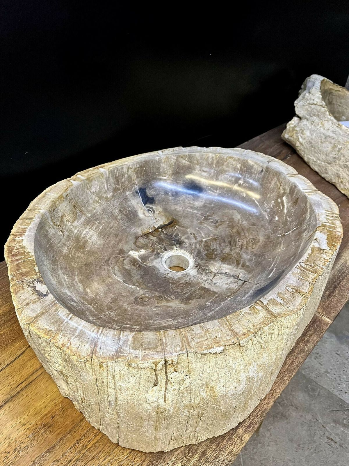 Petrified Wood Sink Grey/ Beige Tones, Organic Modern   Top Quality, Idn 2023 photo buy