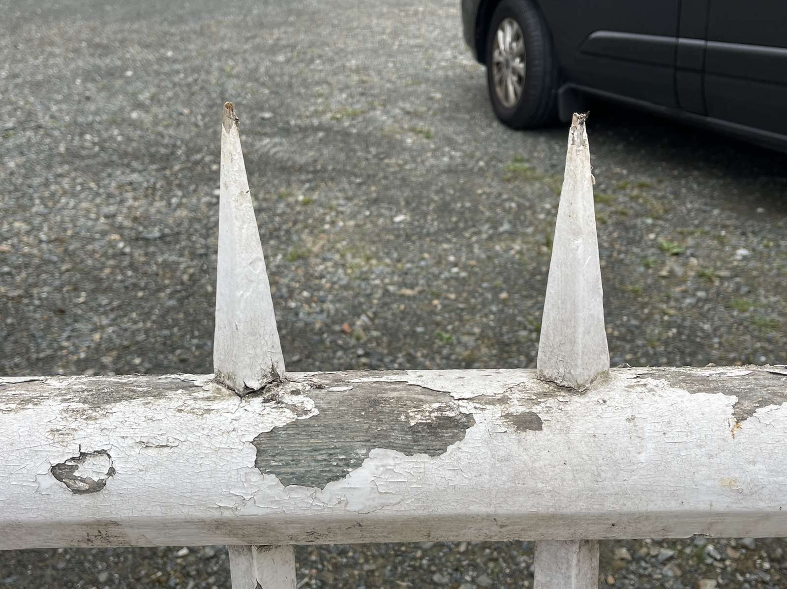Early Twentieth Century Fir Tree Railing photo 900.0