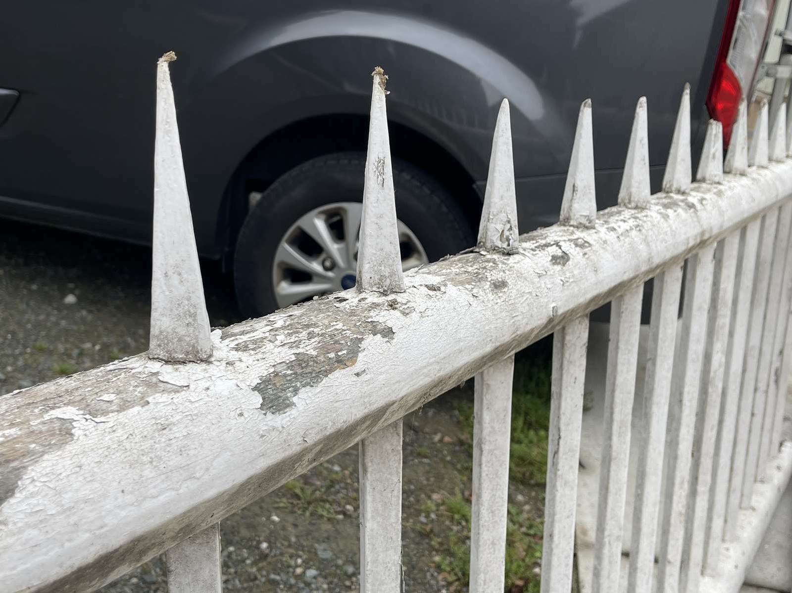 Early Twentieth Century Fir Tree Railing photo vinterior