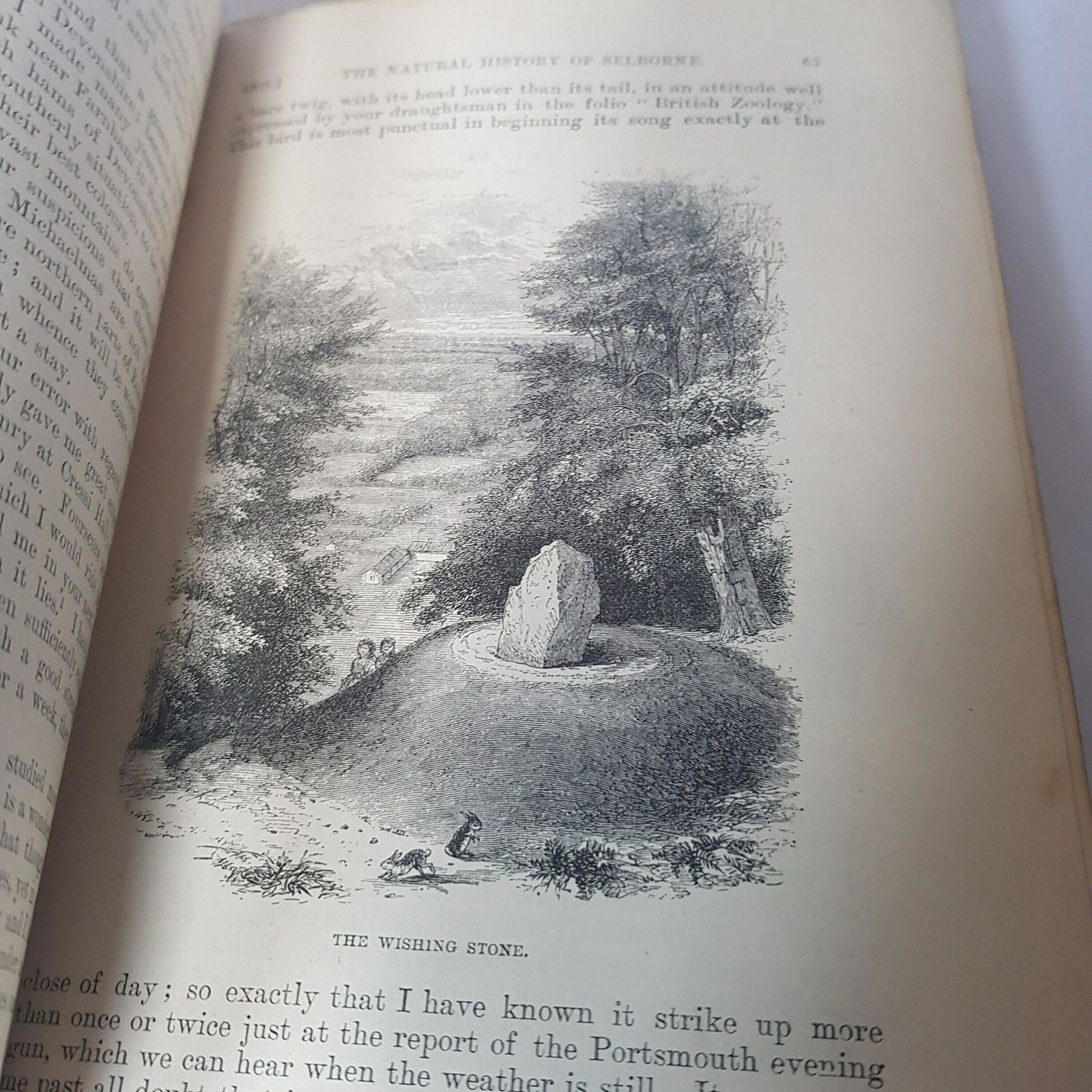 The Natural History Of Selborne By Gilbert White 1887 Edition, Natural History Classic photo vinterior