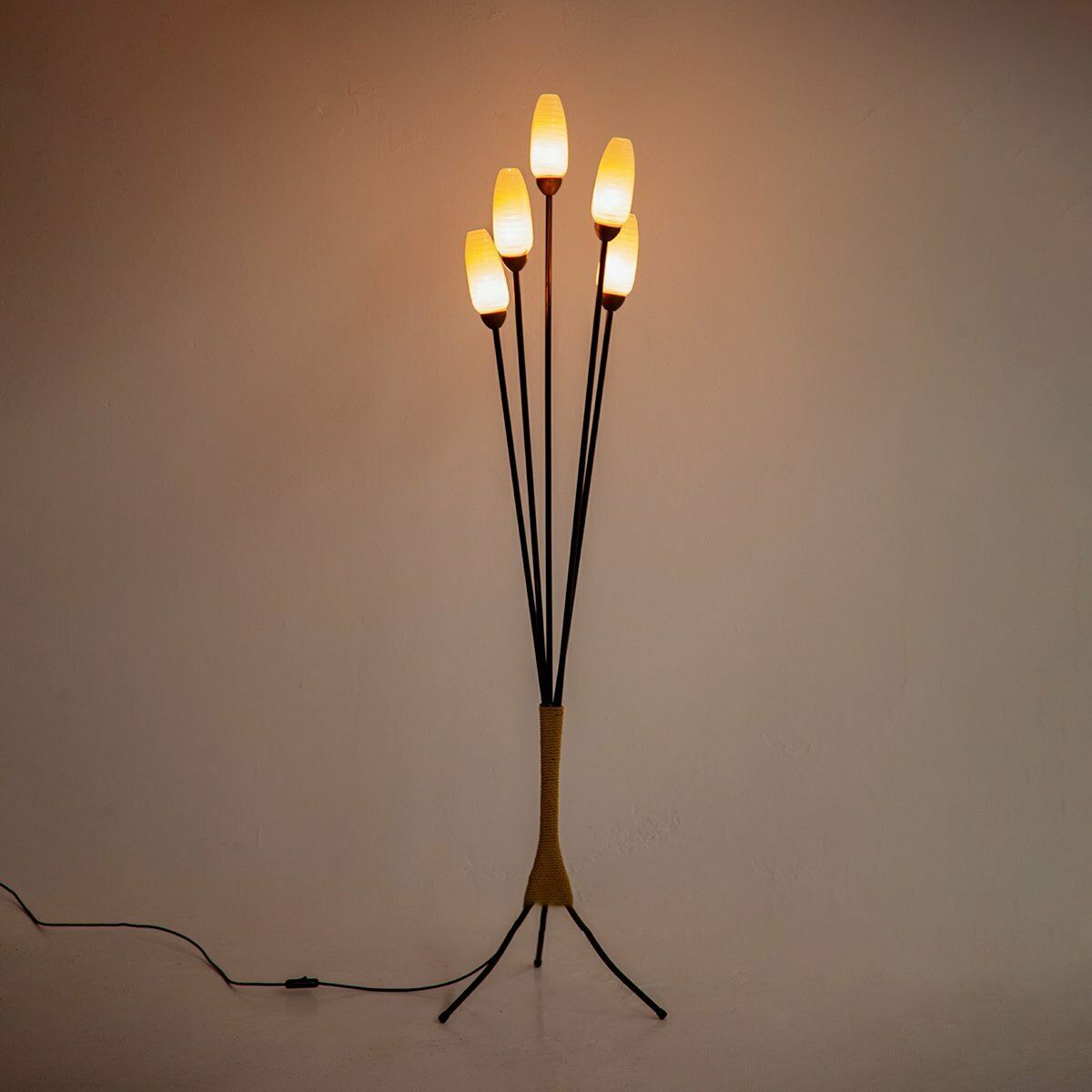 Mid Century French Floor Lamp, 1950s photo 908.0