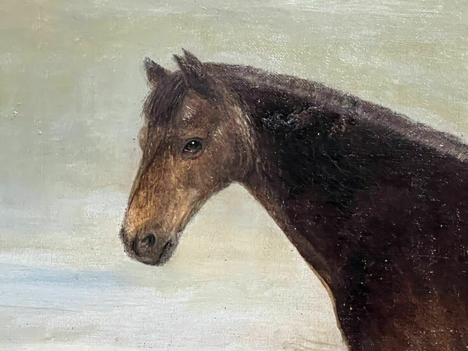 19th Century Oil Painting Of Chestnut Horse By Stable Signed J Carr Pinnit photo vintage