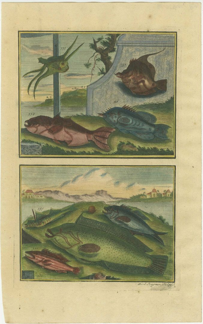 Set Of 8 Colo Red Antique Prints Of Various Fishes And Crustaceans photo for sale