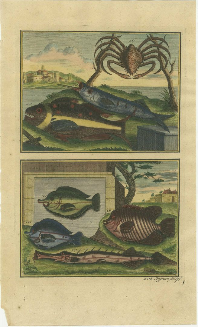 photo furniture Set Of 8 Colo Red Antique Prints Of Various Fishes And Crustaceans