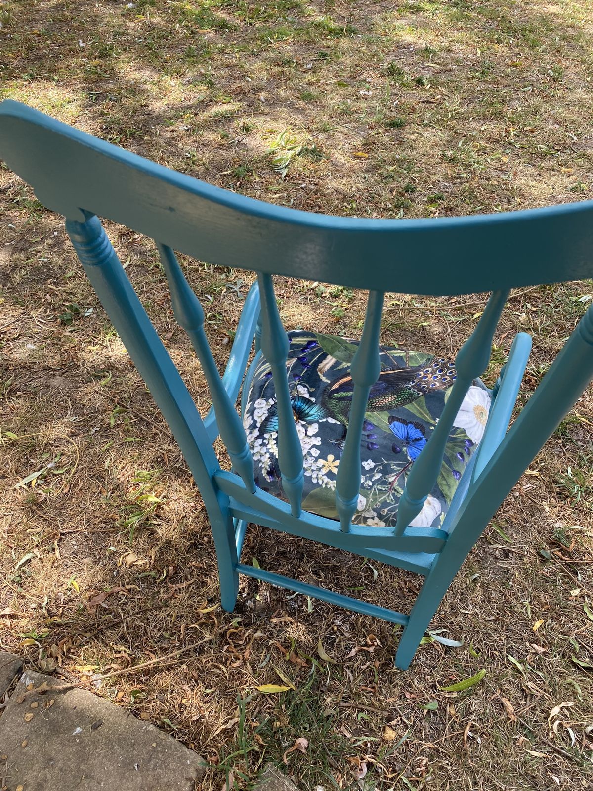 Peacock Chair photo Furniture