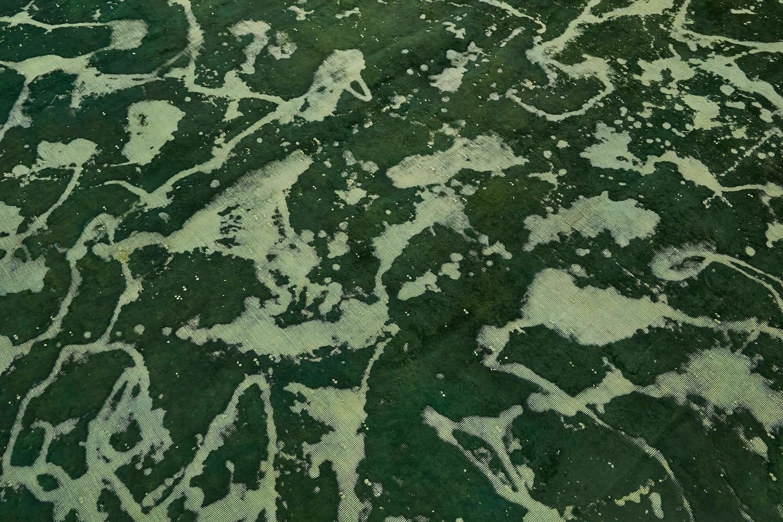 photo furniture Handmade Green Overdyed Large Area Rug  374 Cm X 262 Cm