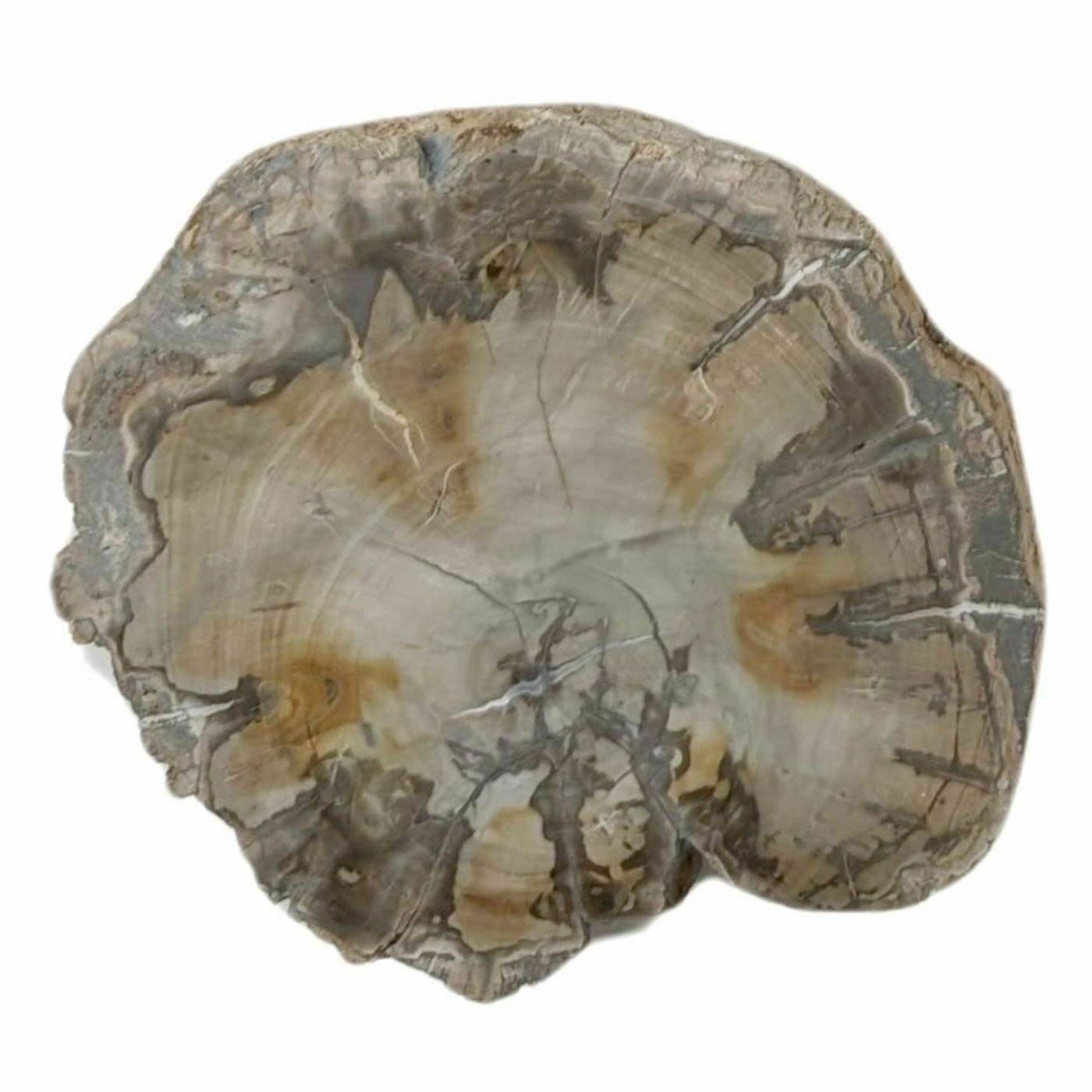 Collection Of Collectible Stones Agate Pyrite Etc photo Home Decor