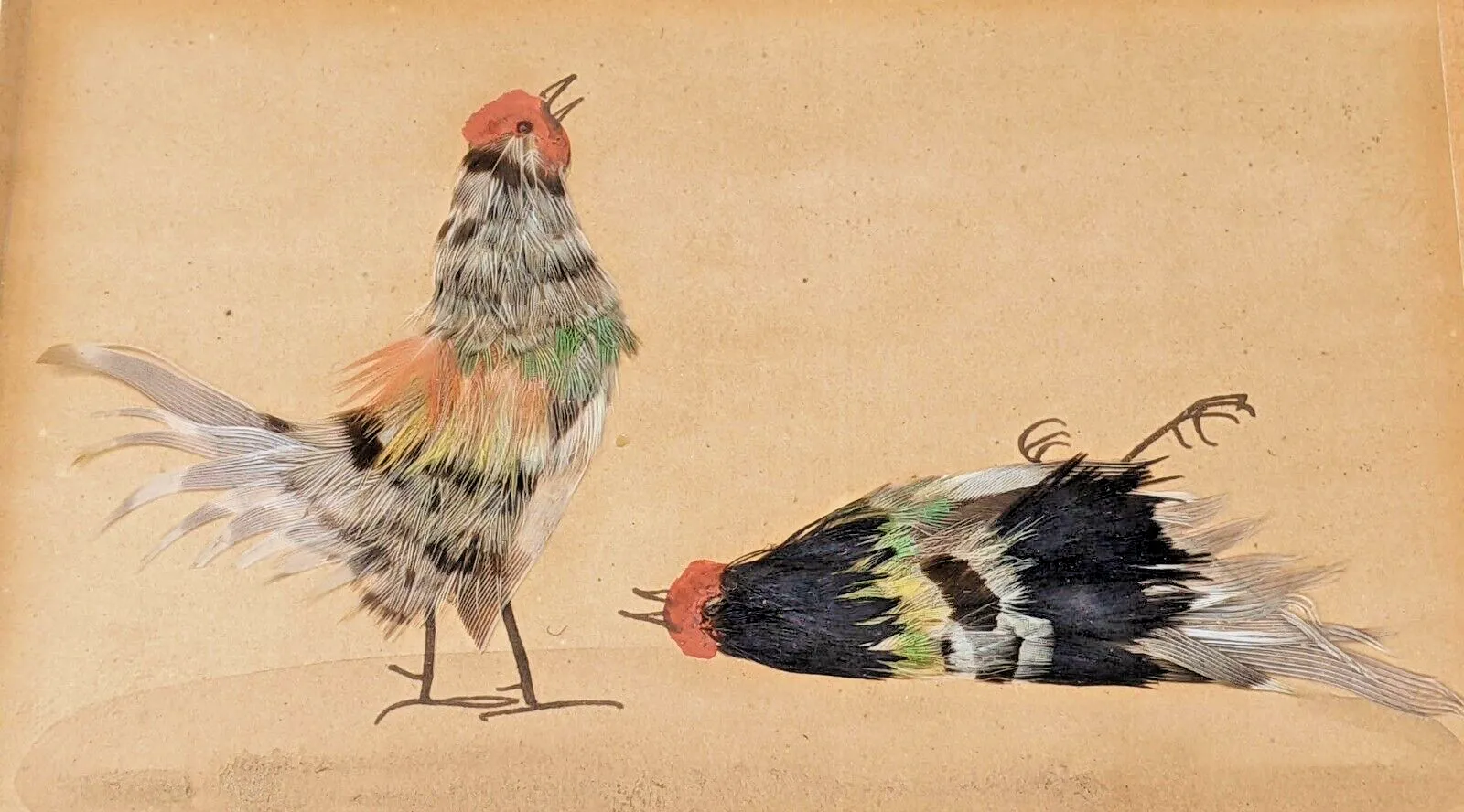 Feather Work Study Cockfighting Pictures photo Art