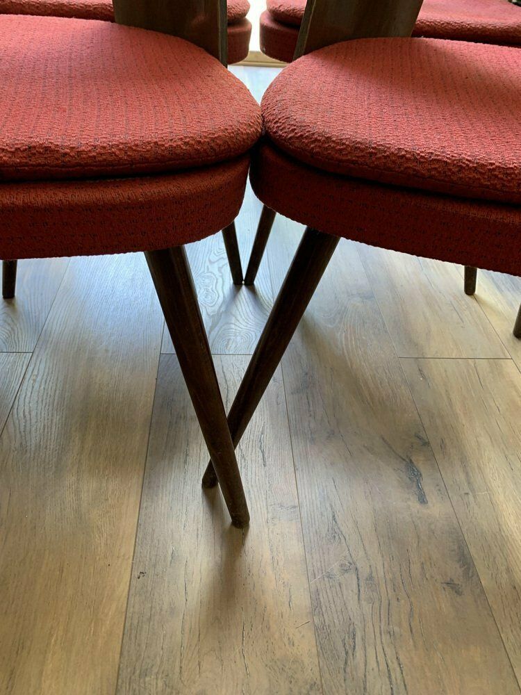 Mid Century Dining Chairs By Antonín šuman For Tatra Furniture, 1960s, Set Of 4 photo buy