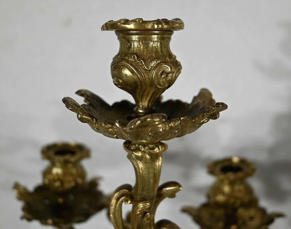 Important Gilt Bronze Candelabra, Louis XV Style – Late 19th Century photo 1254.2741930500001