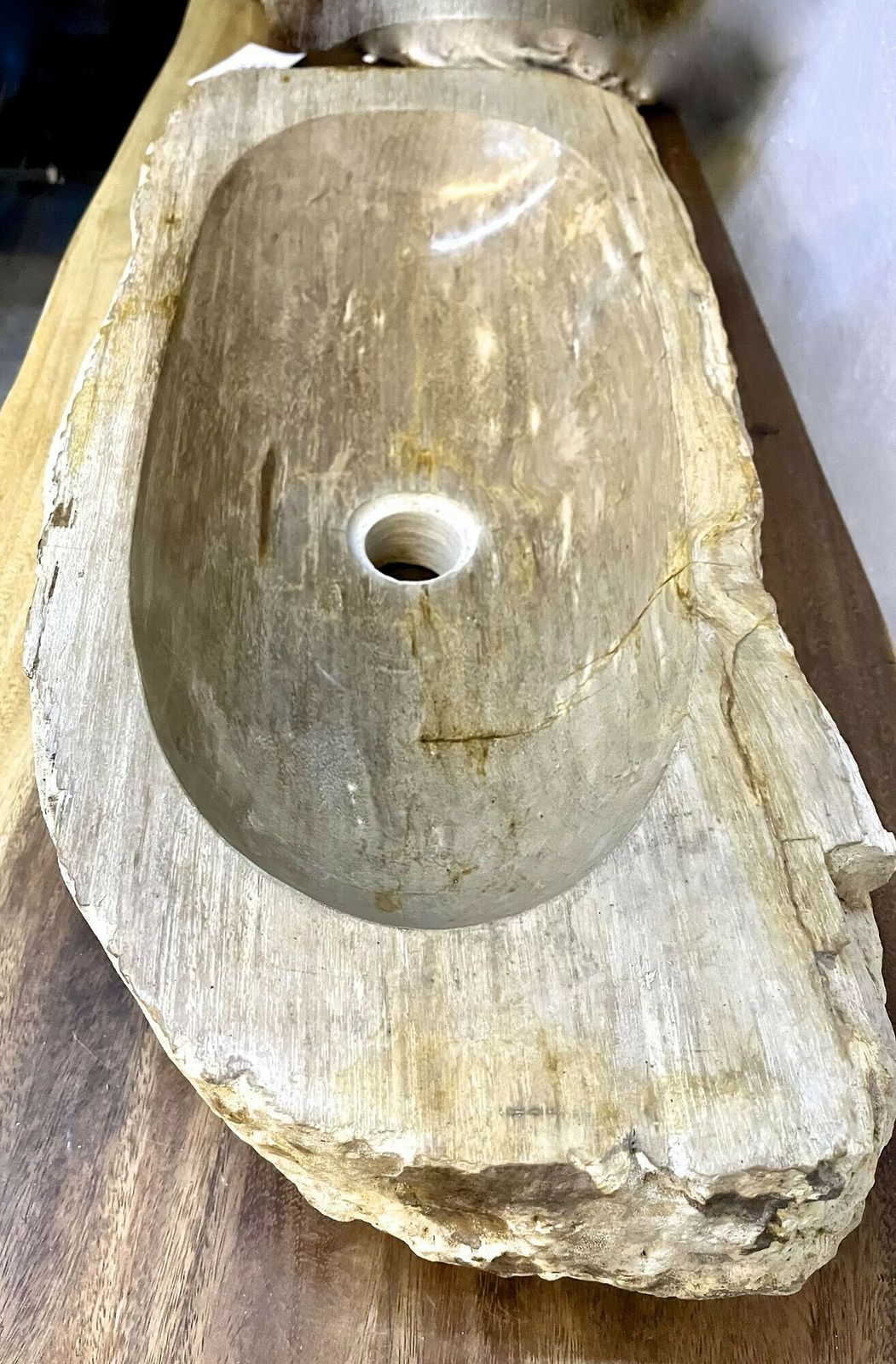 Petrified Wood Sink Grey/ Beige Tones, Polished   Top Quality, Idn 2023 photo furniture